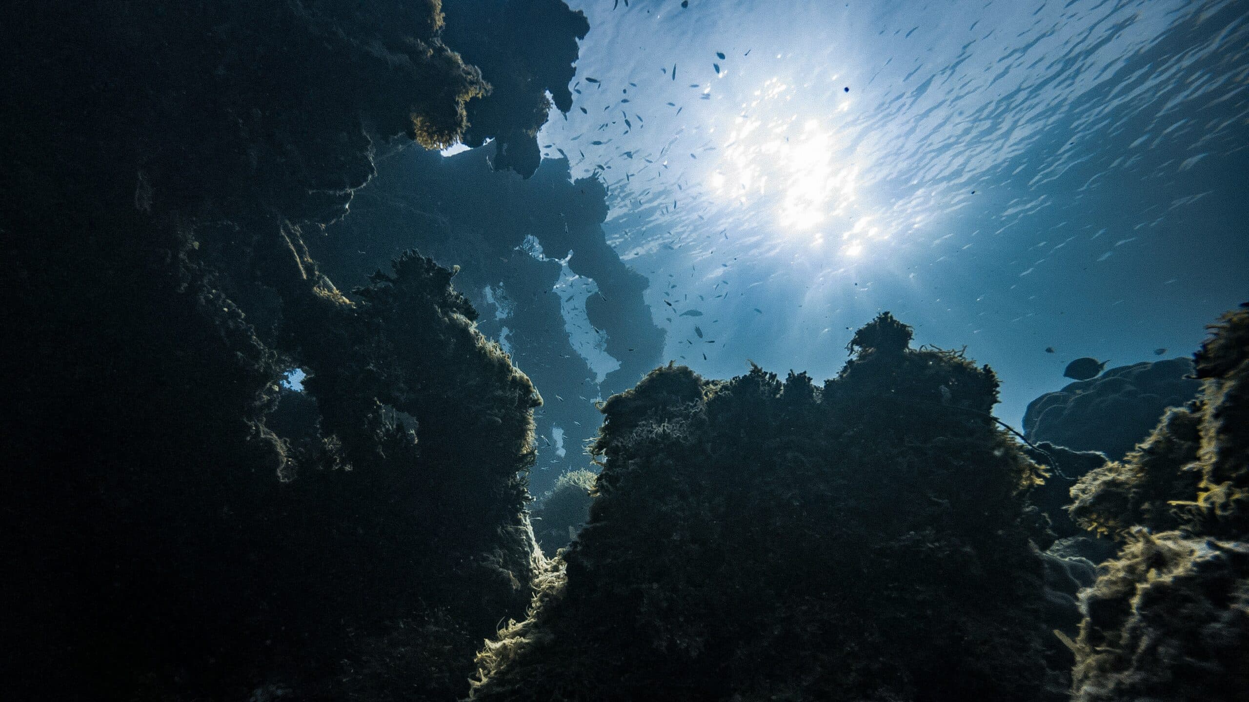 Explore the King Cruiser Wreck Dive Site in Thailand: A Diver’s Haven
