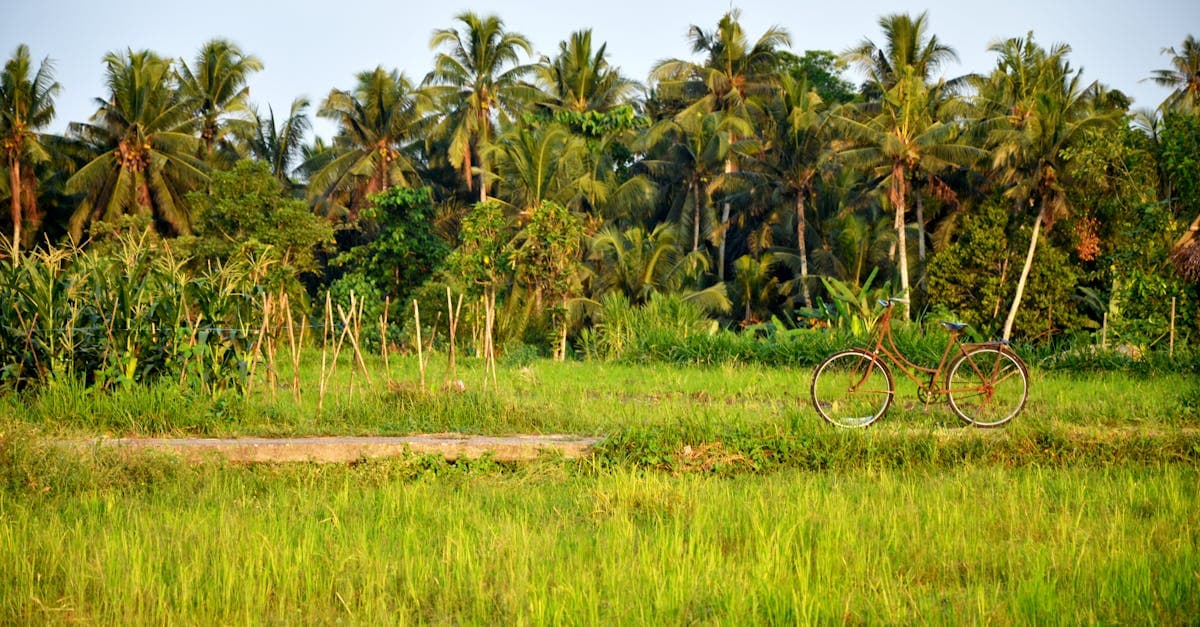 Explore Bali by Bike: A Guide to Cycling Adventure and Culture