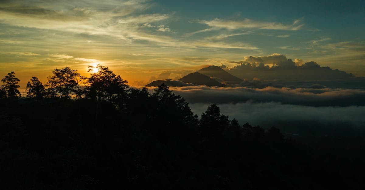 Ultimate Guide to Skydiving in Bali: Locations, Safety, and Tours