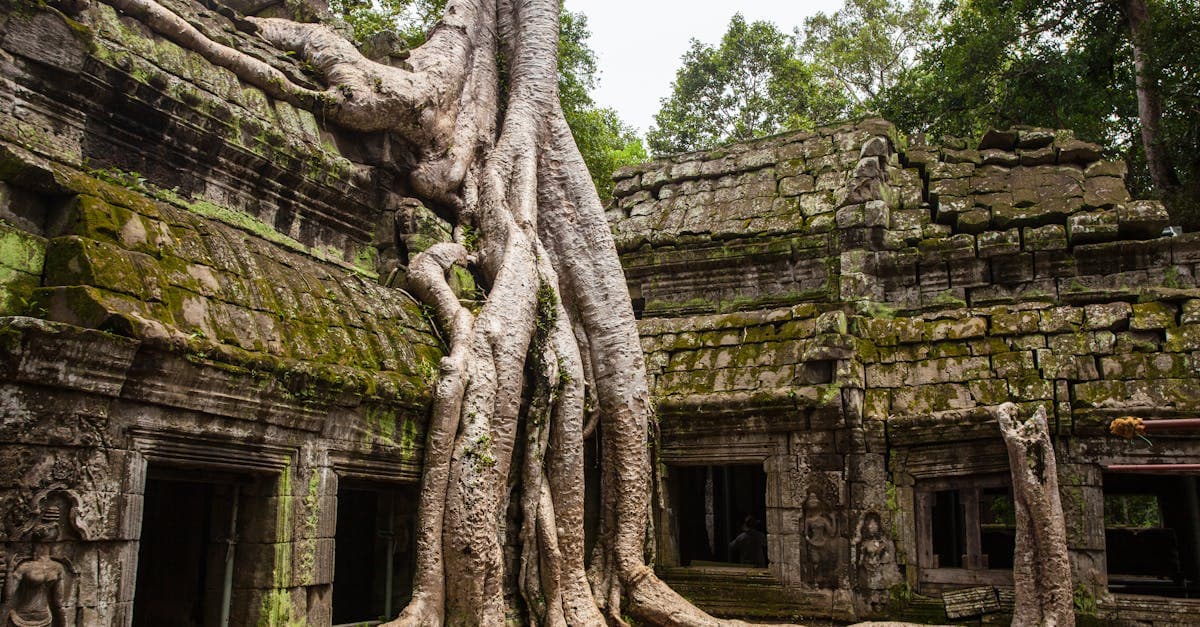 Explore Canyoning in Cambodia: Ultimate Guide for Thrill-Seekers