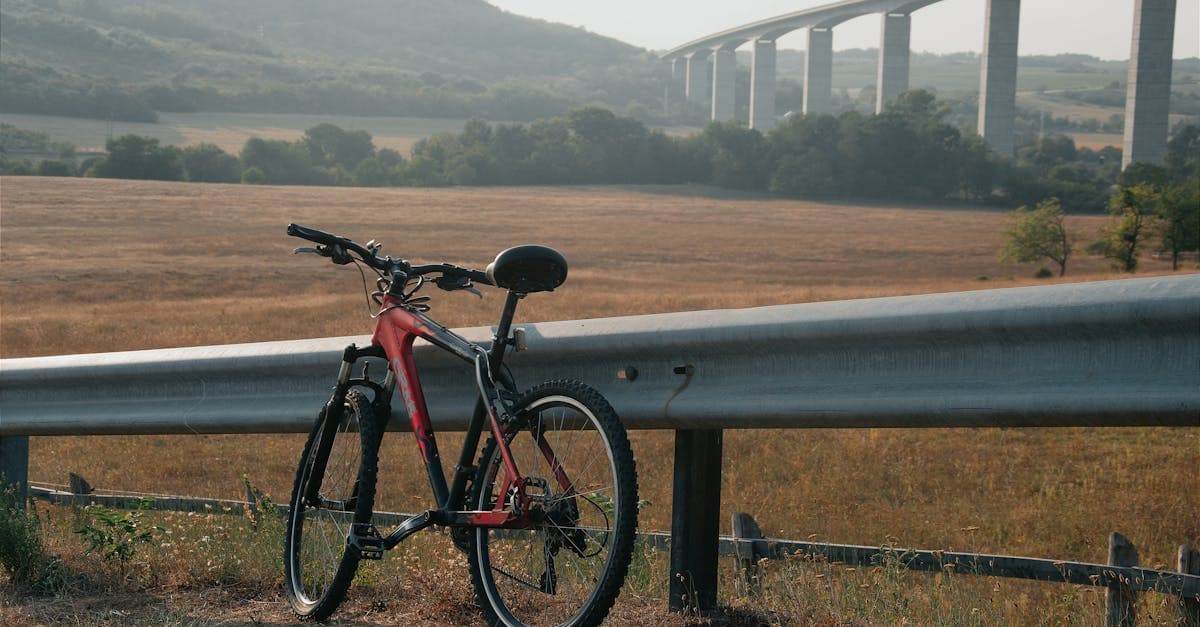Explore Cycling in Singapore: A Guide to Routes, Safety & Seasonal Tips