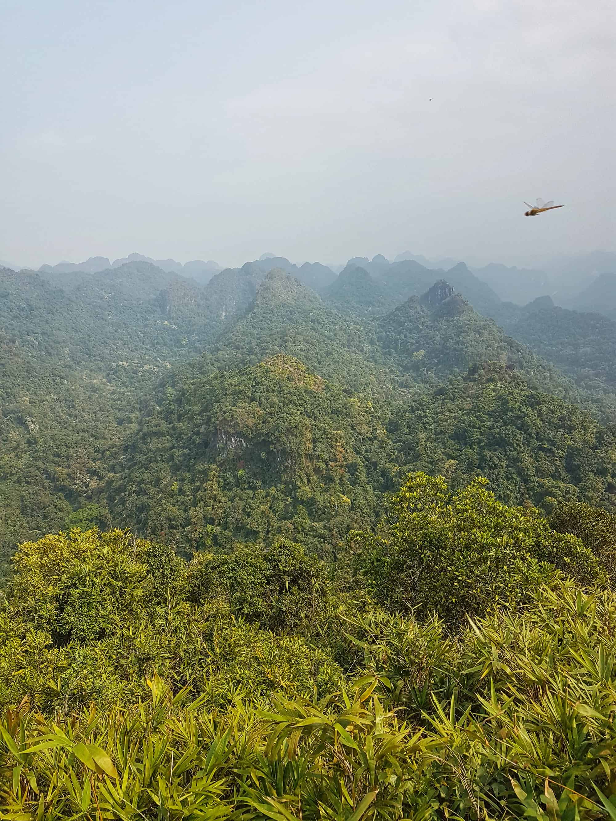 Cat Ba National Park