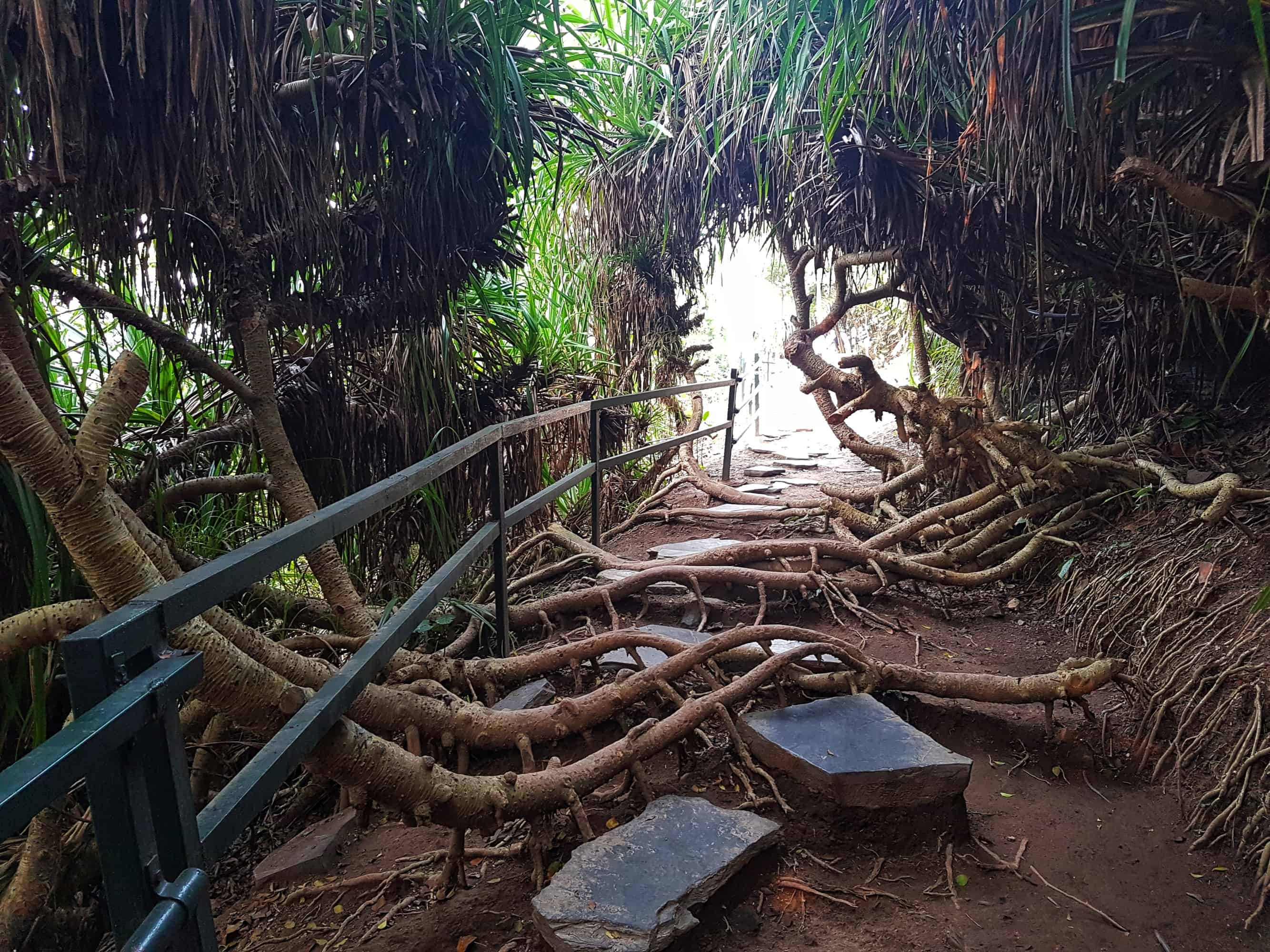 Walking around Cannon Fort, Cat Ba Island, Vietnam