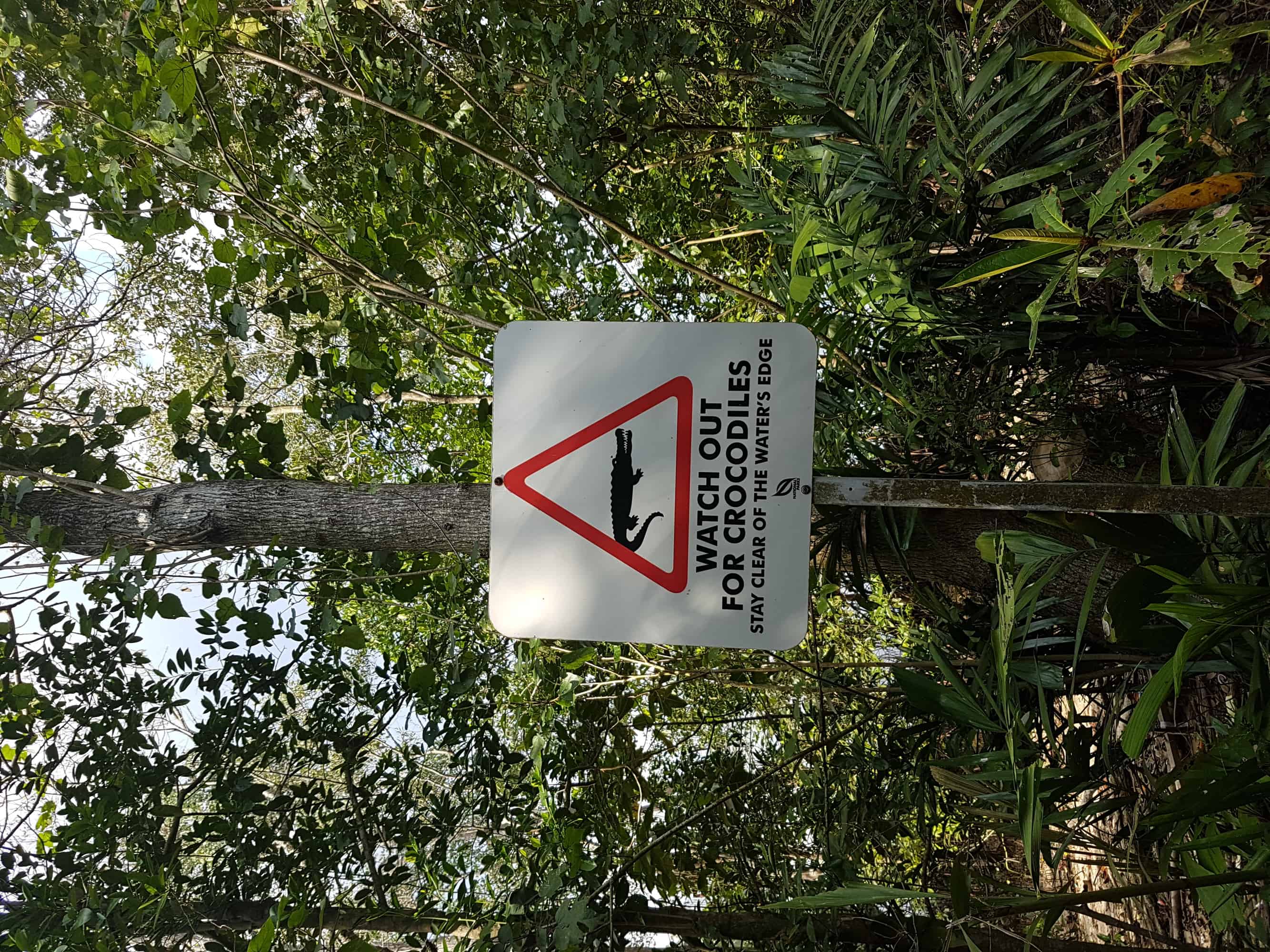Beware of the crocodiles! Sungei Buloh Wetland Reserve, Singapore