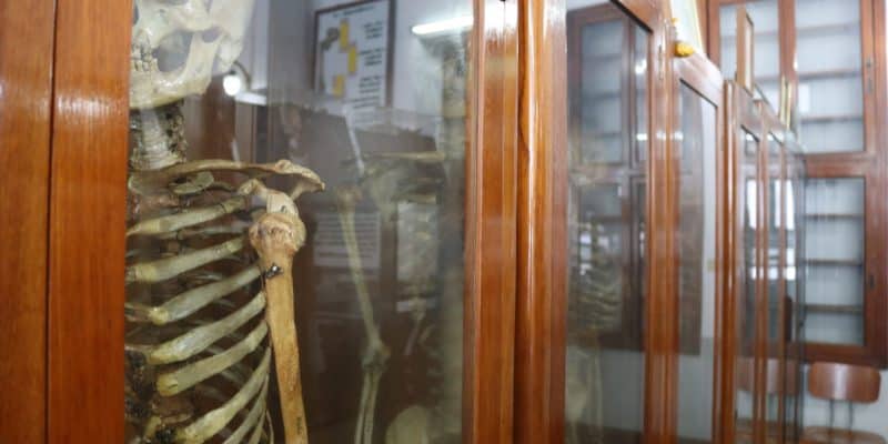 Death Museum or Siriraj Medical Museum, Bangkok