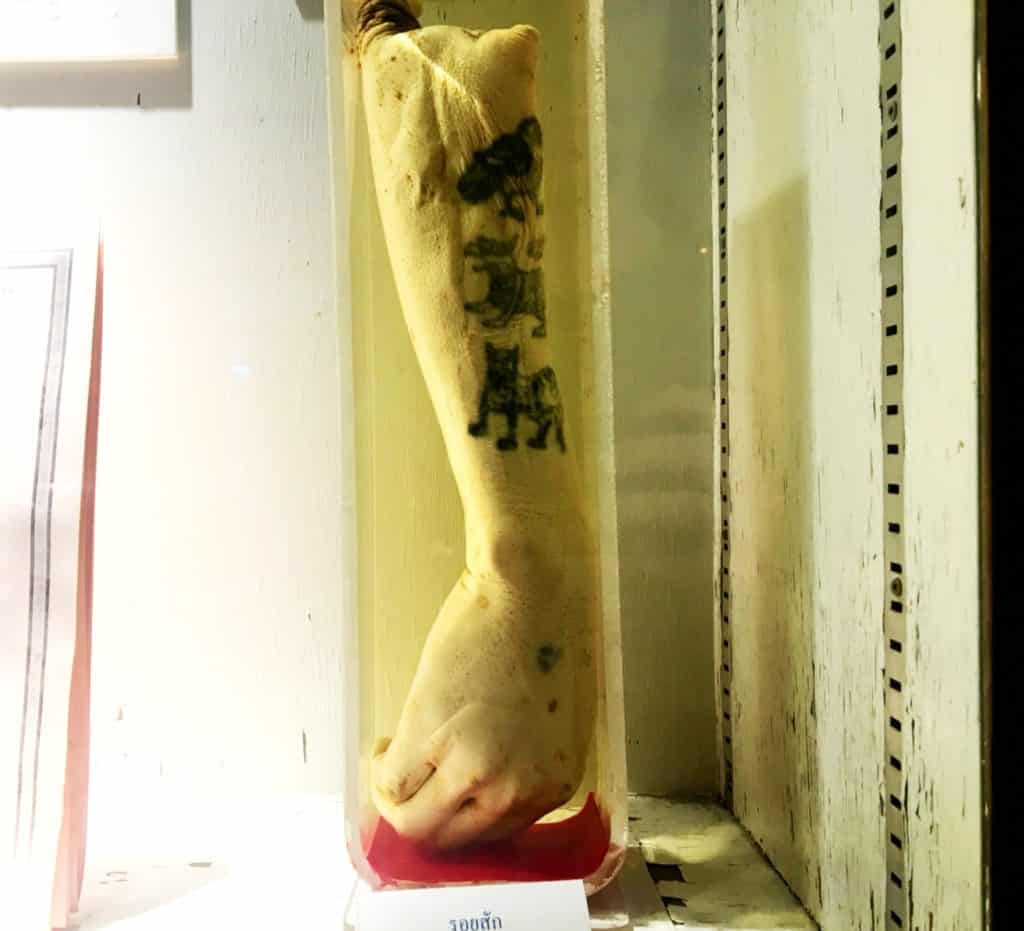 Tatooed arm at the Siriraj Medical Museum