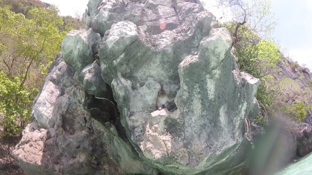 A Monkey on a rock at Monkey Beach, Ko