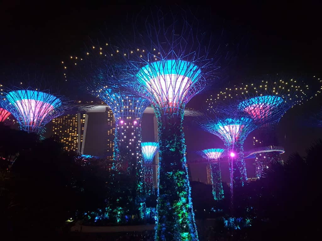 Garden Rhapsody - Gardens by the Bay - Singapore
