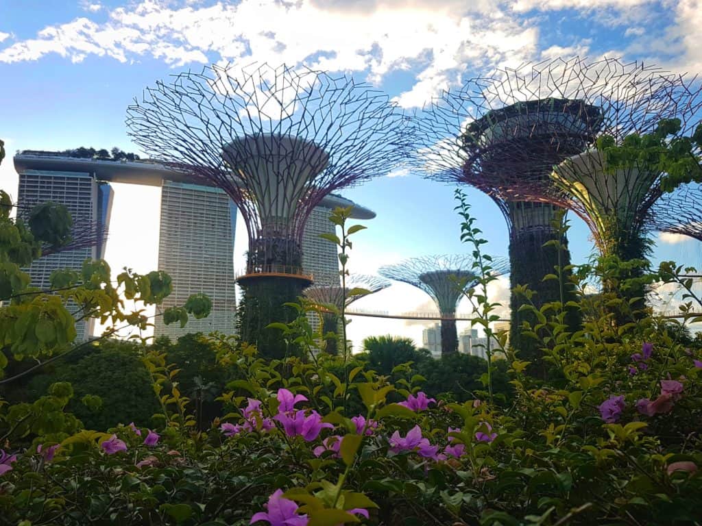 Supertrees are Gardens by the Bay, Singapore