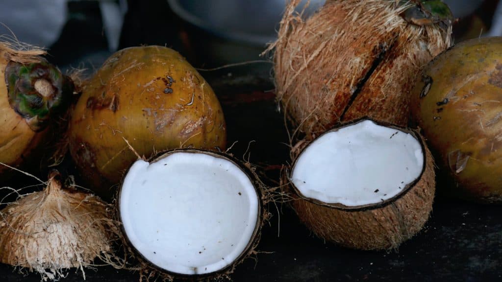 Fresh coconuts - Credit Zibik