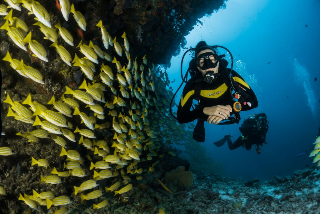 Woman is scuba diving near a reef. A school of fish is passing by her. 