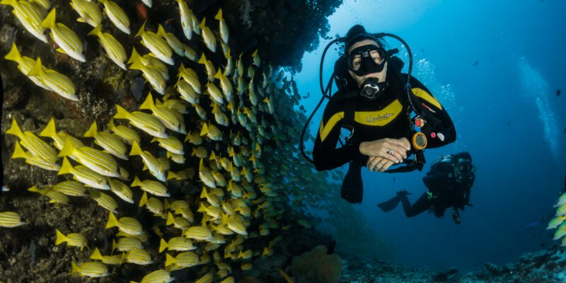 Scuba diving on coral reef - Photo by Photo by Sebastian Pena Lambarria